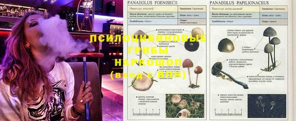 COCAINE Абинск
