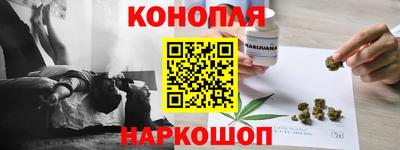 индика Мариинск