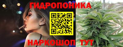 индика Мариинск