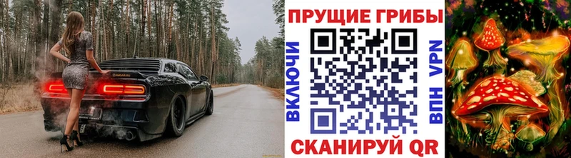 как найти Хабаровск Галлюциногенные грибы ЛСД