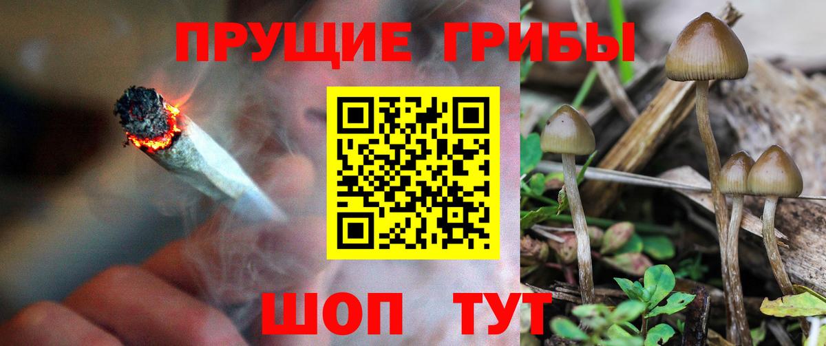 Галлюциногенные грибы ЛСД Хабаровск