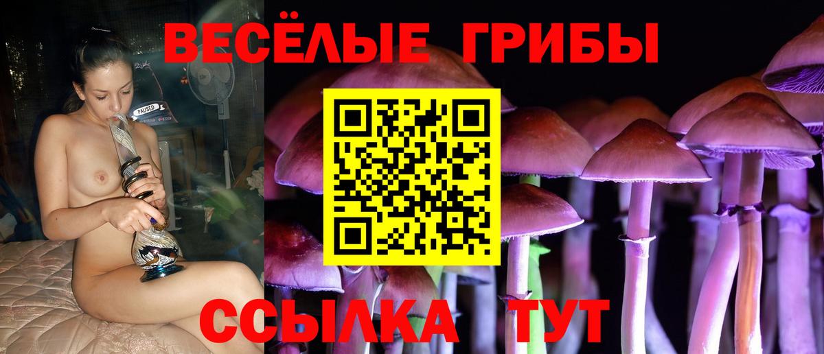 Хабаровск  где продают наркотики  Вход с VPN  Галлюциногенные грибы ЛСД 